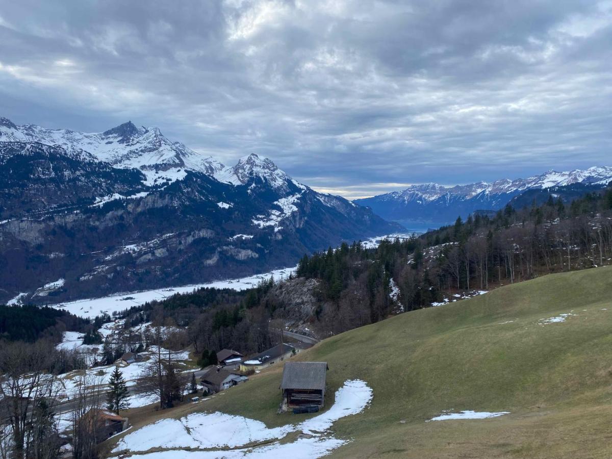 Spring Inn Apartments Meiringen Εξωτερικό φωτογραφία