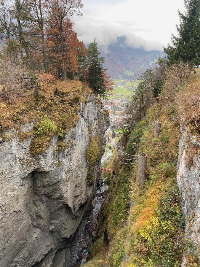 Spring Inn Apartments Meiringen Εξωτερικό φωτογραφία