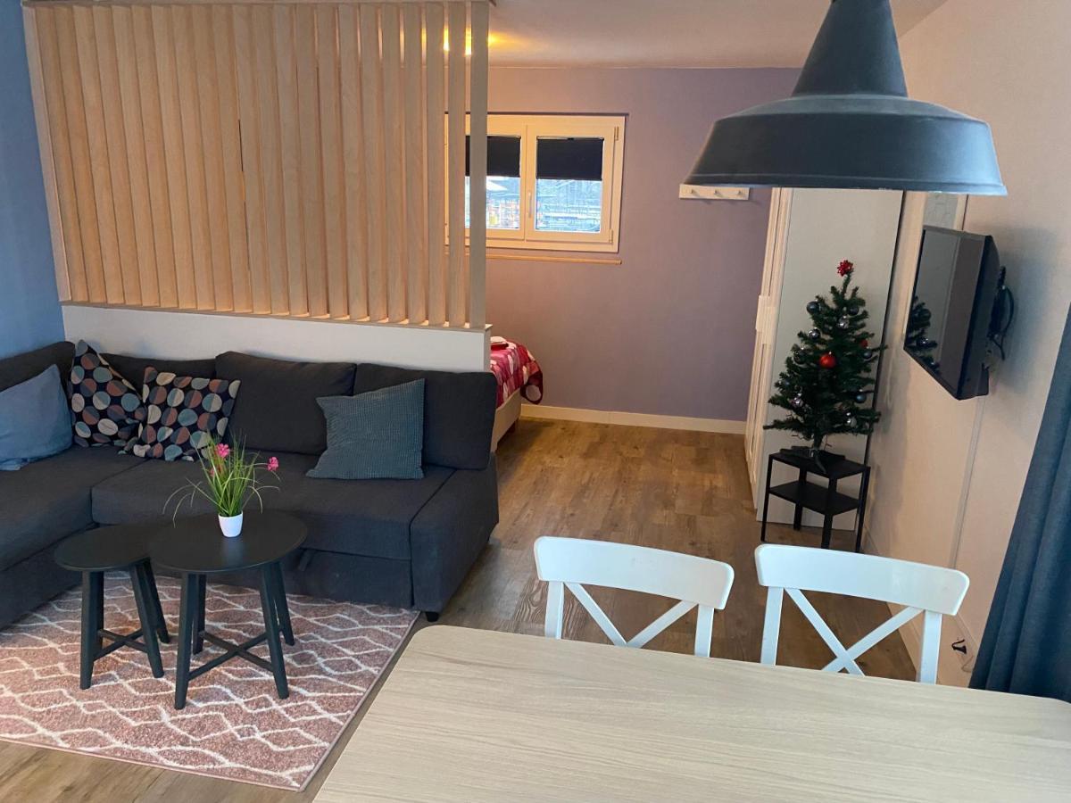 Spring Inn Apartments Meiringen Εξωτερικό φωτογραφία