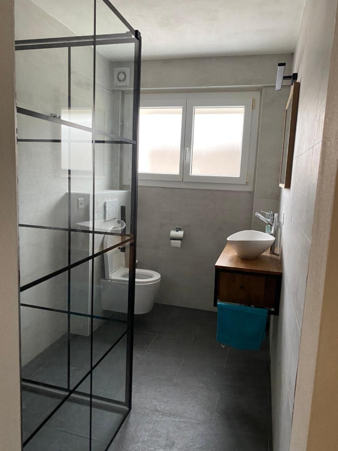 Spring Inn Apartments Meiringen Εξωτερικό φωτογραφία