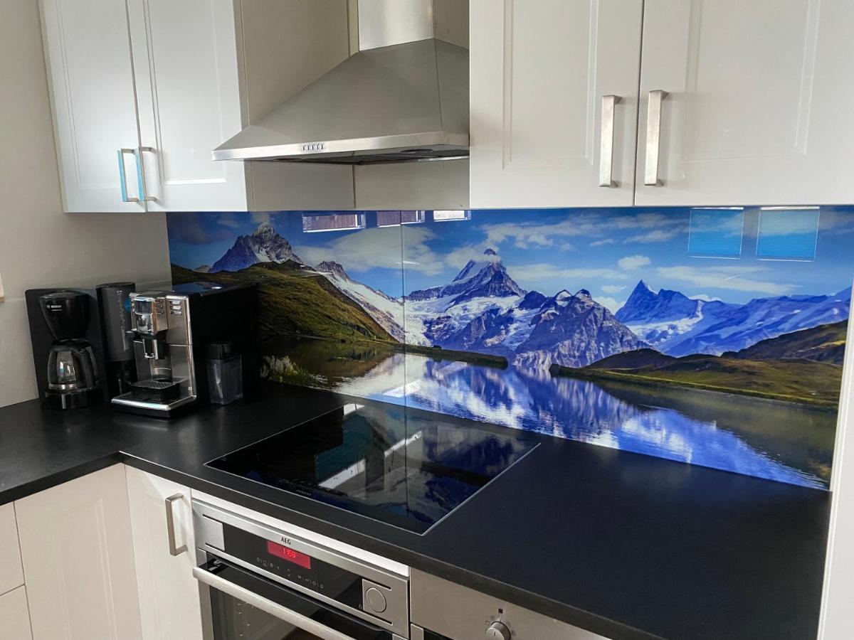 Spring Inn Apartments Meiringen Εξωτερικό φωτογραφία