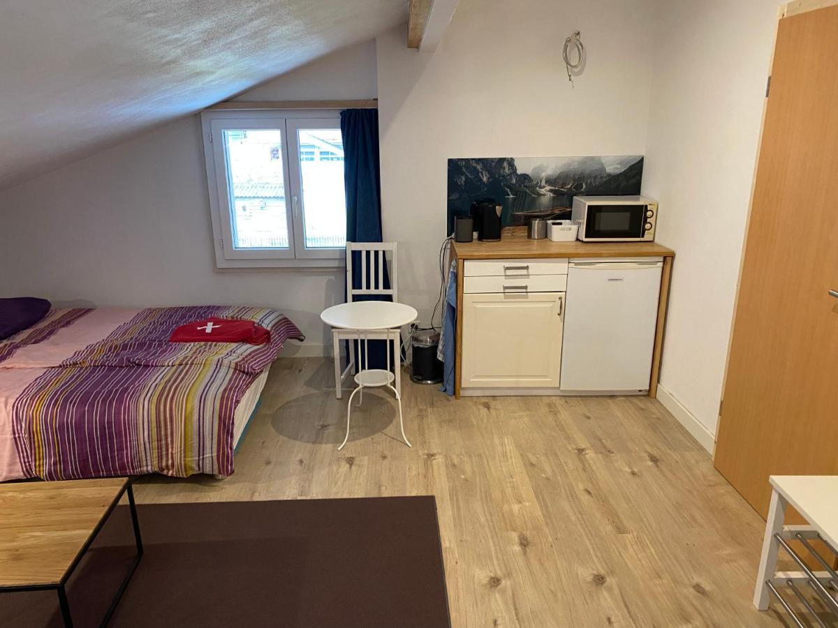 Spring Inn Apartments Meiringen Εξωτερικό φωτογραφία