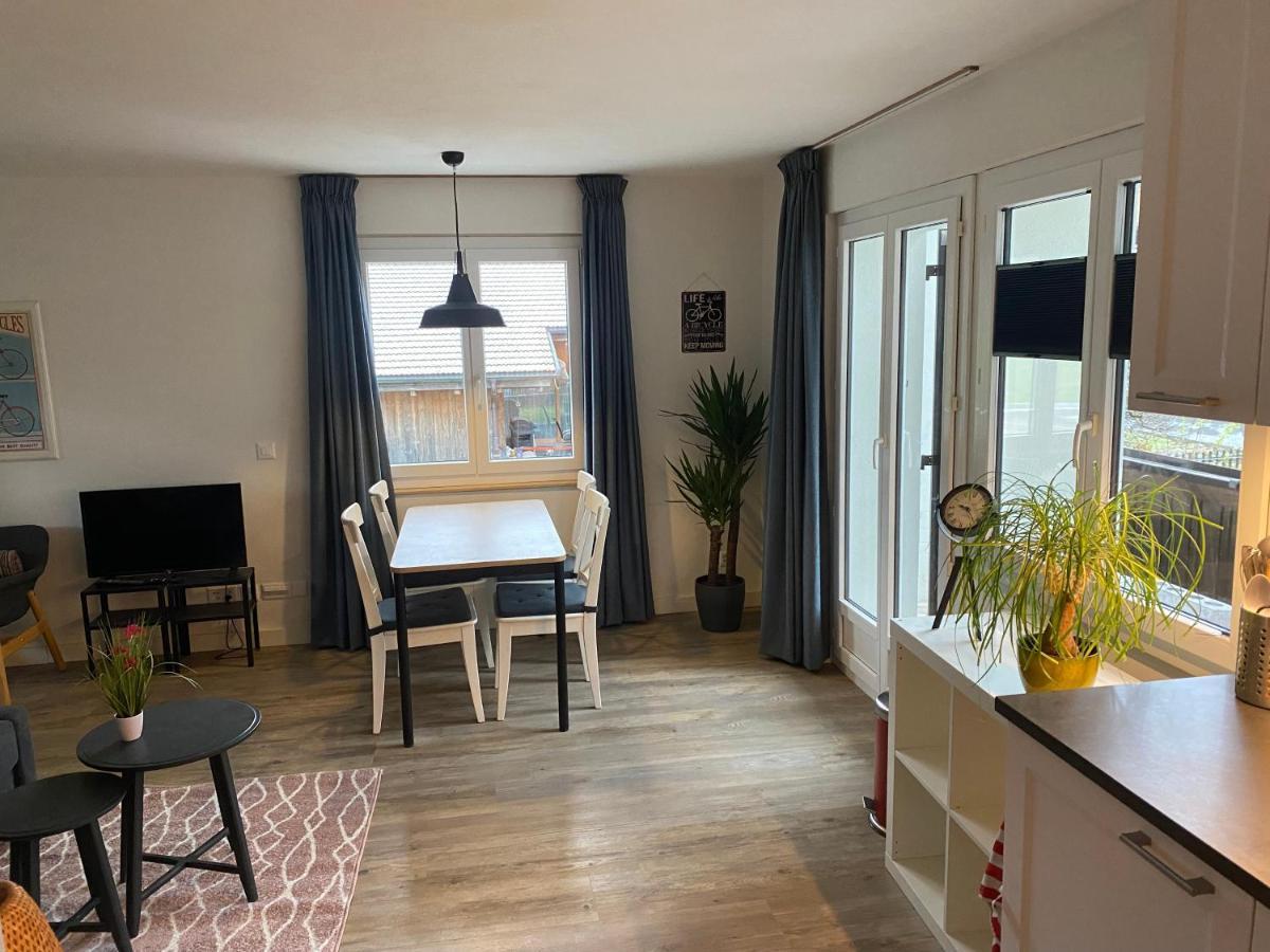 Spring Inn Apartments Meiringen Εξωτερικό φωτογραφία
