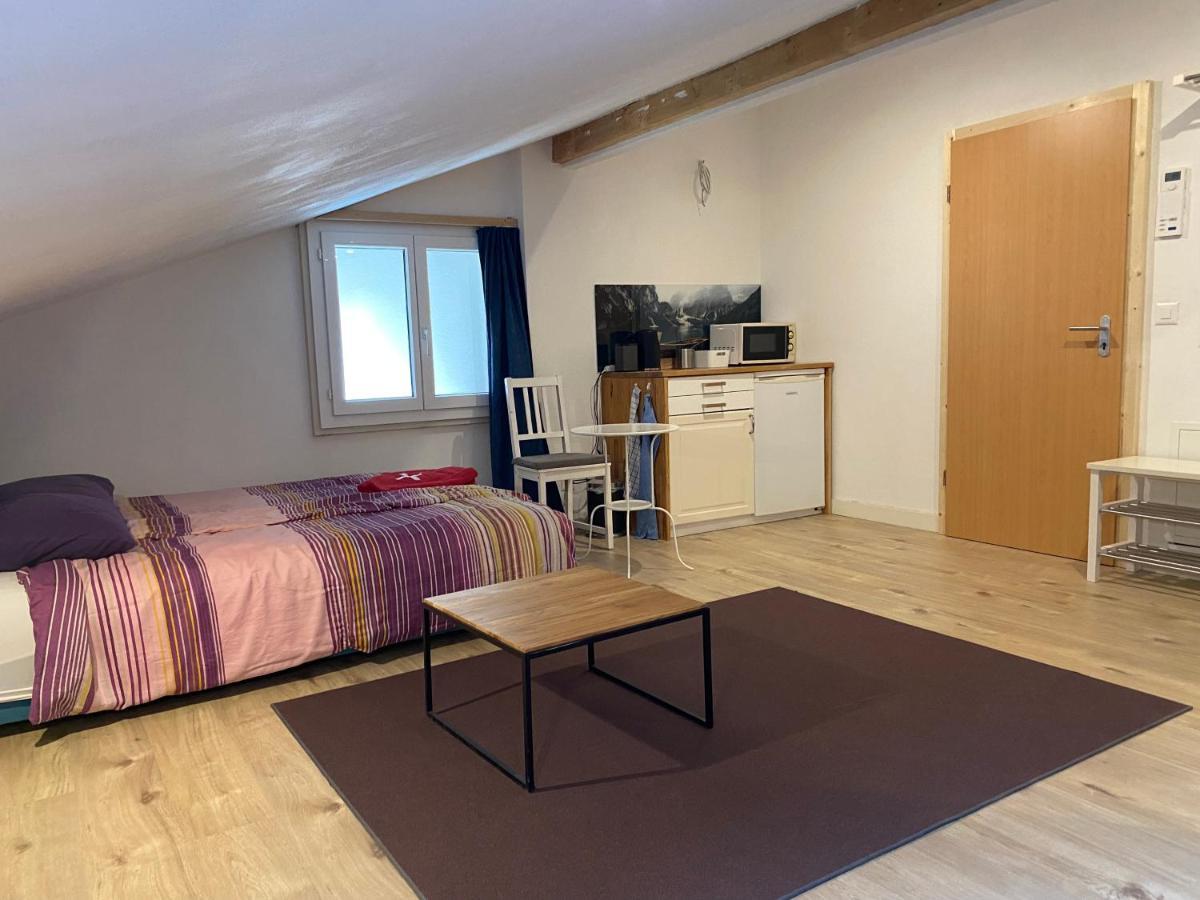 Spring Inn Apartments Meiringen Εξωτερικό φωτογραφία