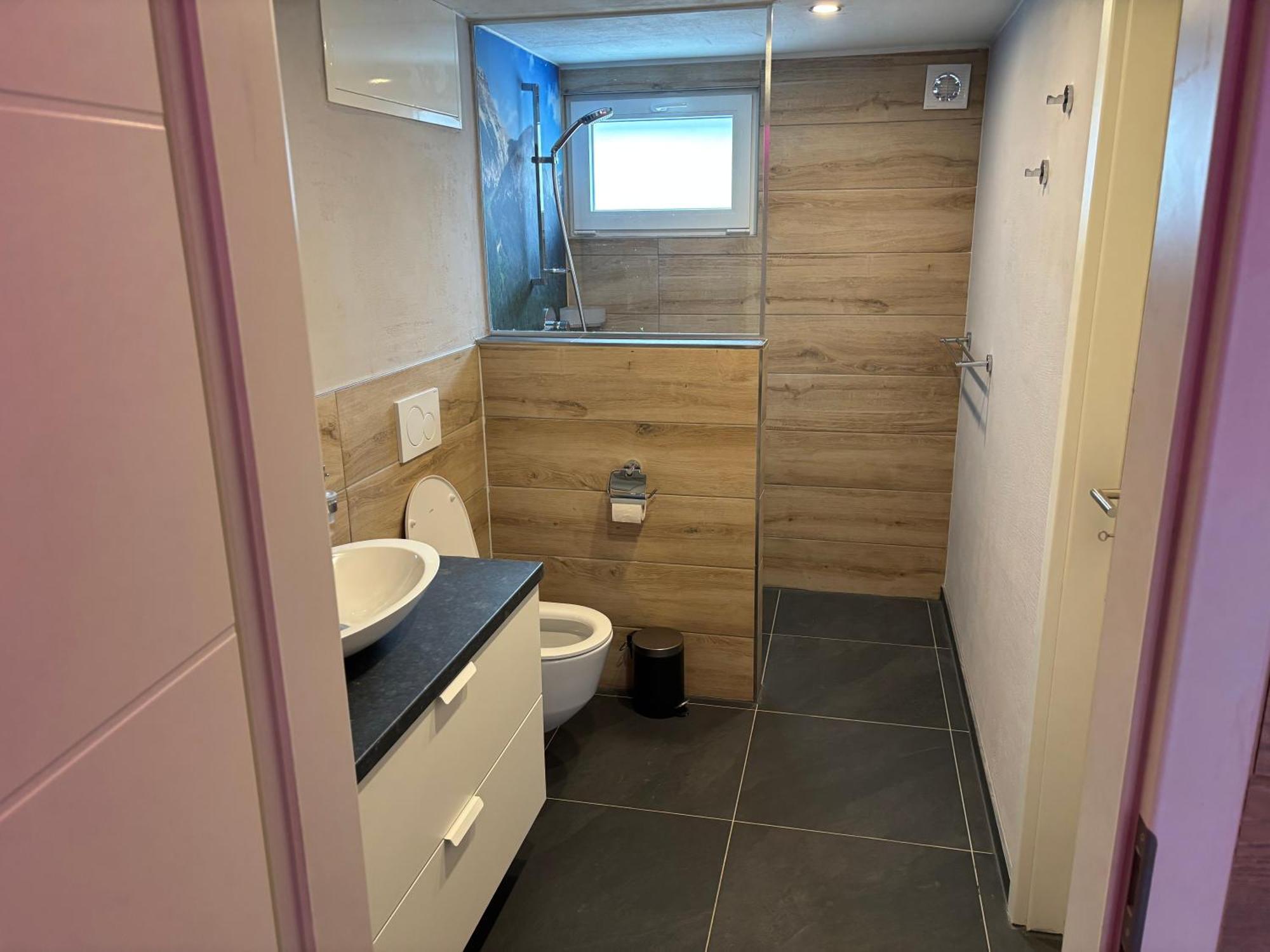 Spring Inn Apartments Meiringen Εξωτερικό φωτογραφία