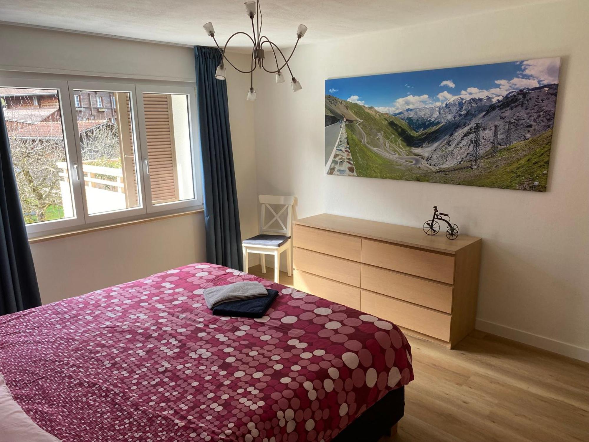 Spring Inn Apartments Meiringen Εξωτερικό φωτογραφία